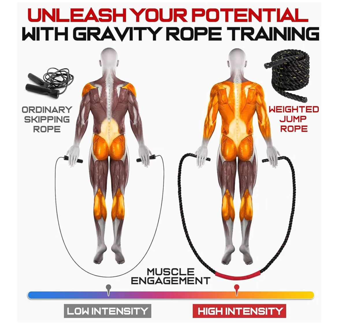 Corde à sauter lestée Entraînement de puissance pour améliorer la condition physique