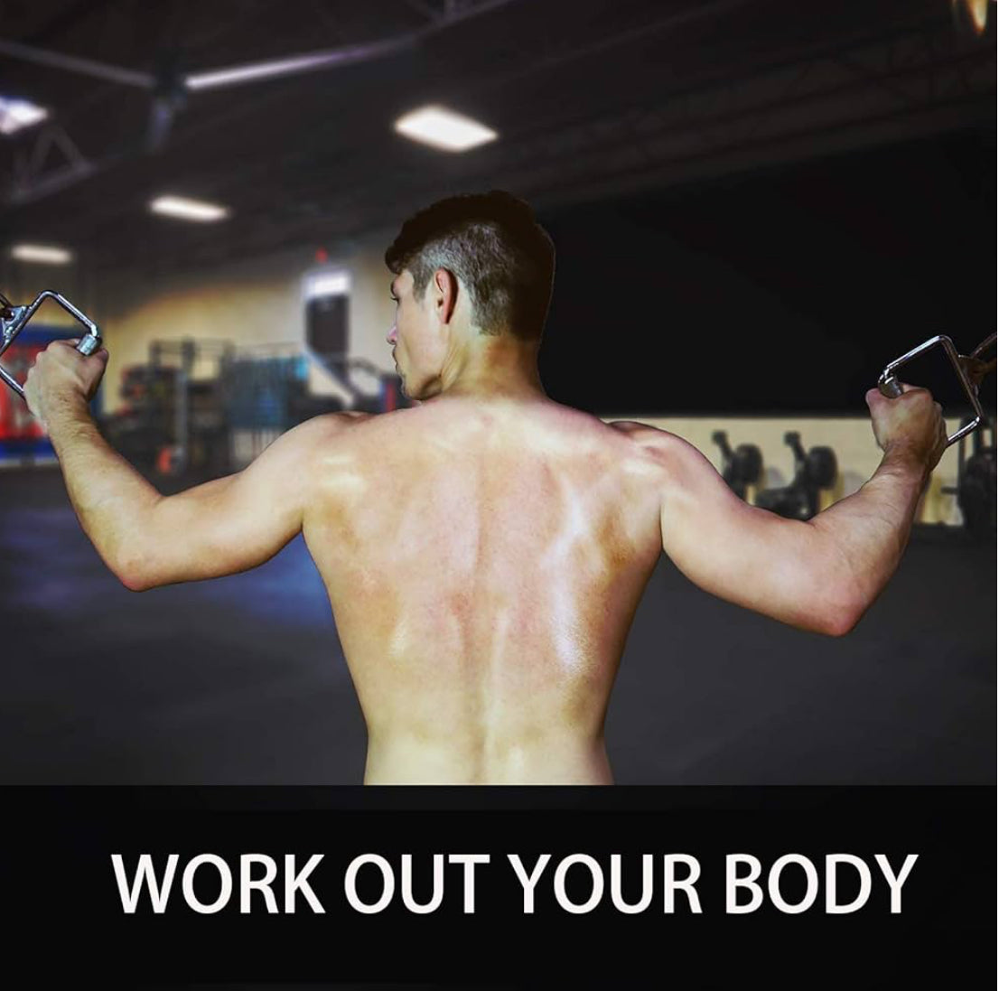 Poignée de Traction Courte,du Câble Biceps Fixation